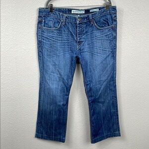 Salt Works Varick Street Low Straight Jeans Medium Wash Whiskered Sz 36x29